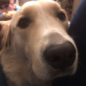 Meet your Posher, Jola